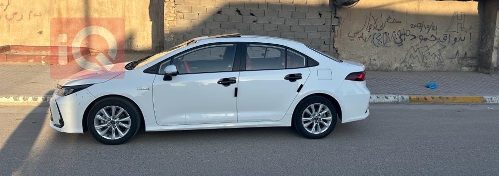 تويوتا كورولا